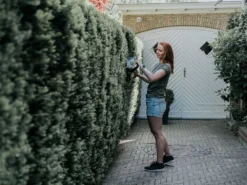 Taille-haies électrique à Batterie Batavia - Lame De 51 Cm En Acier - SANS BATTERIE NI CHARGEUR -Outils D'Élagage De Jardin taille haies lectrique batterie batavia lame de 51 cm en acier sans batterie ni chargeur taille haies lectrique batterie batavia 32934 5 1644399273 IMG 62038aa9247d3