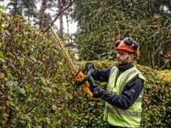 Taille-haies électrique à Batterie DEWALT DCMHT563P1-QW - Lame De 55cm - Batterie 18V 5Ah 22 Taille-haies électrique à Batterie DEWALT DCMHT563P1-QW - Lame De 55cm - Batterie 18V 5Ah -Outils D'Élagage De Jardin taille haies lectrique batterie dewalt dcmht563p1 qw lame de 55cm batterie 18v 5ah taille haie batterie dewalt dcmht563p1 qw 28919 0 1620394115 IMG 6095408324adc